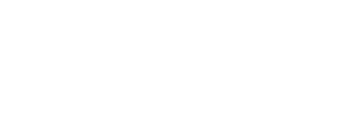 bitkom Badge
